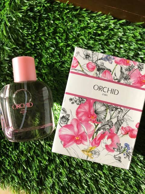 Orchid Zara