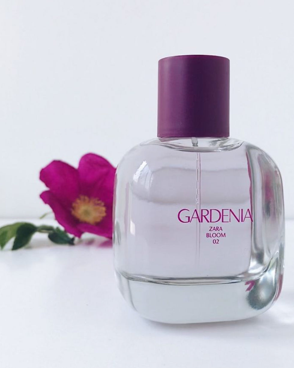 Gardenia Zara bloom